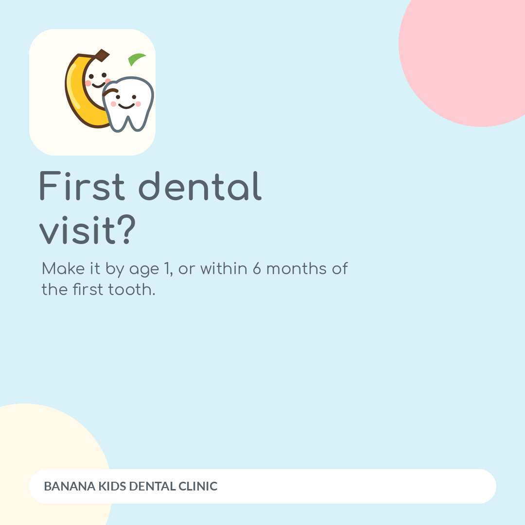 First dental visit educational graphic